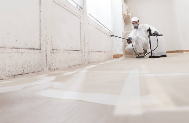 24/7 Emergency Commercial Mold Remediation experts in Salisbury, MD